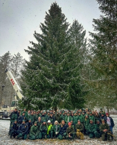 2023 Capitol Christmas Tree