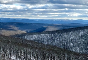 The Allegheny Mountains rise to more than 4,000 feet above sea level in eastern West Virginia.