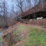 Beards Fork Petroglyph Overhang