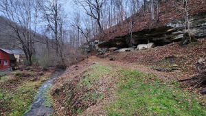 Beards Fork Petroglyph Overhang