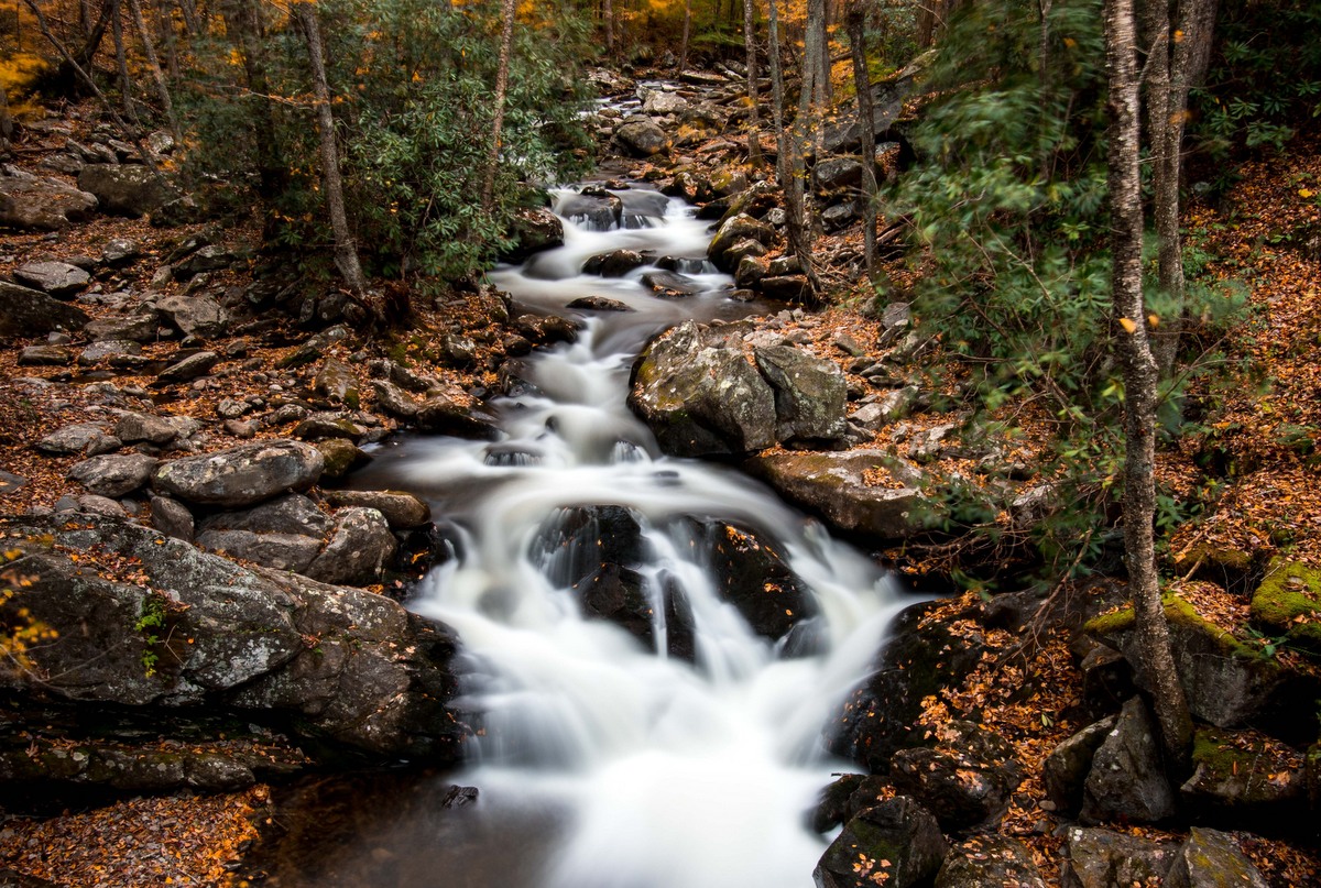 Clean Streams In West Virginia