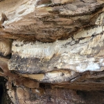 Detailed view of Beards Fork Petroglyph