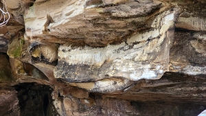 Detailed view of Beards Fork Petroglyph