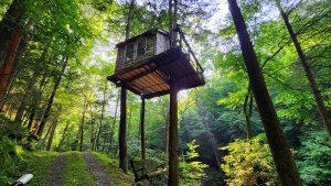 Treehouse at Mill Creek Falls