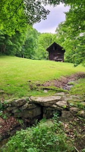 Bridge at Trump Lilly Farm
