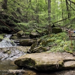 Big Branch Trail