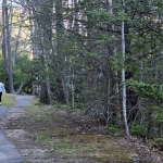 Walking at Little Beaver State Park