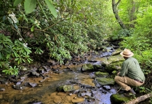 West Virginia woodland for sale on Barker’s Creek offers mountain serenity A catch-and-release trout stream, Barkers Creek babbles on its way past the McKinney Homestead.