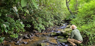West Virginia woodland for sale on Barker’s Creek offers mountain serenity A catch-and-release trout stream, Barkers Creek babbles on its way past the McKinney Homestead.