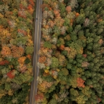 Fall Foliage in the Monongahela National Forest