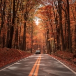 Fall foliage at Coopers Rock State Forest