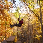 Fall foliage at Pipestem Resort State Park