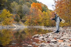West Virginia fall foliage