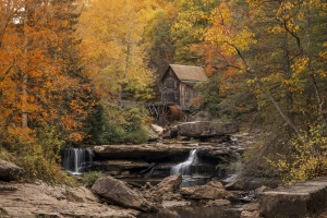 Fall foliage at Babcock State Park