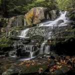 Falls of Pendleton