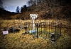 Grave of Pickens Leper