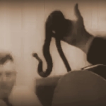 Snake Handling in West Virginia