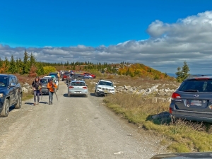 Dolly Sods Traffic Issues