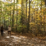 West Virginia Fall Foliage