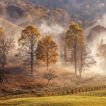 Autumn on Madams Creek