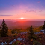 Fall Foliage at Dolly Sods