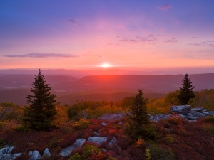 Fall Foliage: The morning sun rises above the autumn landscape at Dolly Sods. 