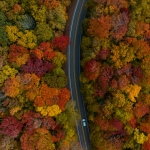 Fall foliage in Canaan Valley