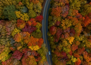 The Canaan Valley in northern West Virginia is a popular destination region.