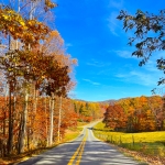 Fall on Elk Knob Road