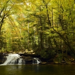 Waterfall at Kumbrabow State Forest