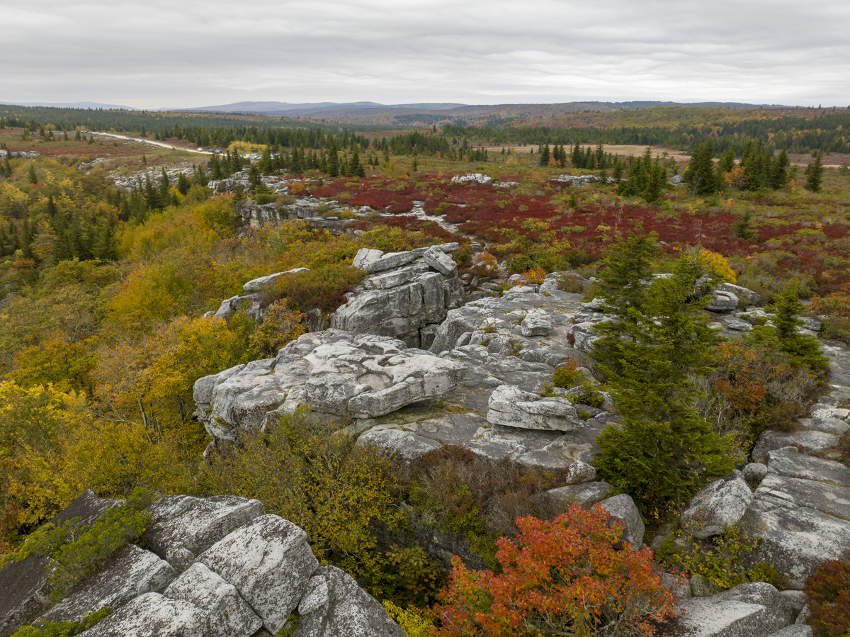 Appalachian Forest National Heritage Area