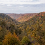 State parks and other areas in Tucker and Grant County experience changing leaves on a crisp fall day, October 6, 2022. (WVU Photo/David Malecki)