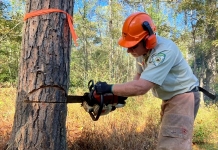 West Virginia State Parks Foundation awarded $17,500 grant for forestry work West Virginia State Parks Foundation