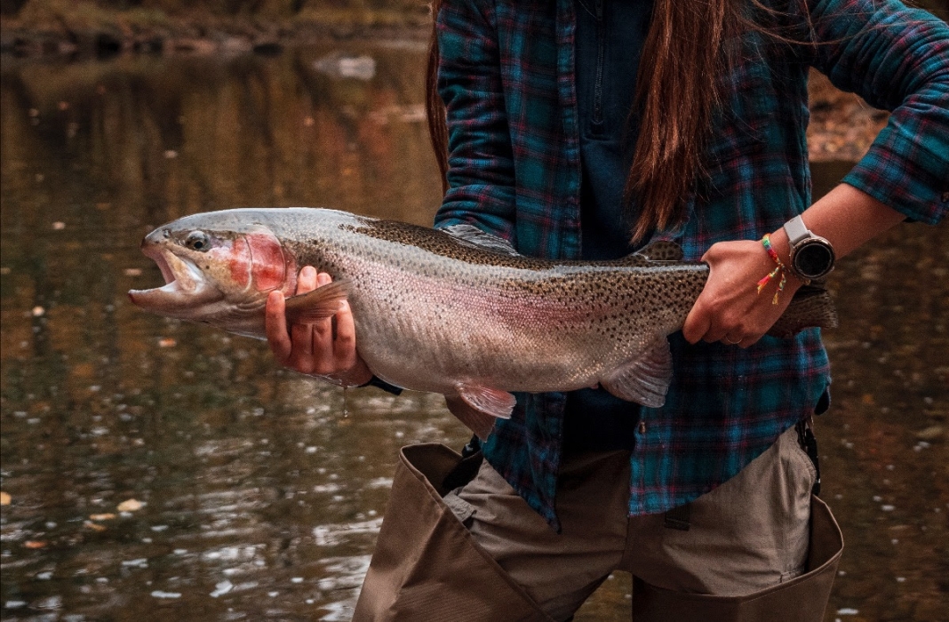 The annual Monster Trout Contest gives anglers and their families a chance to reel in trophy-sized fish while enjoying peak fall foliage.
