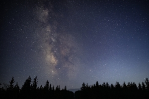 A chance to glimpse the coordinated pulsations of “synchronous fireflies” is much less common. (WVU Photo/Brian Persinger)