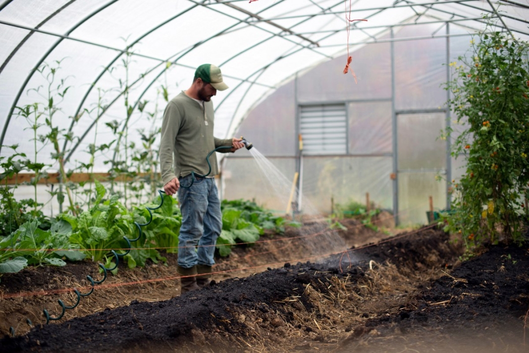 Specialty Crop Block Grants