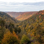 West Virginia Wildfires