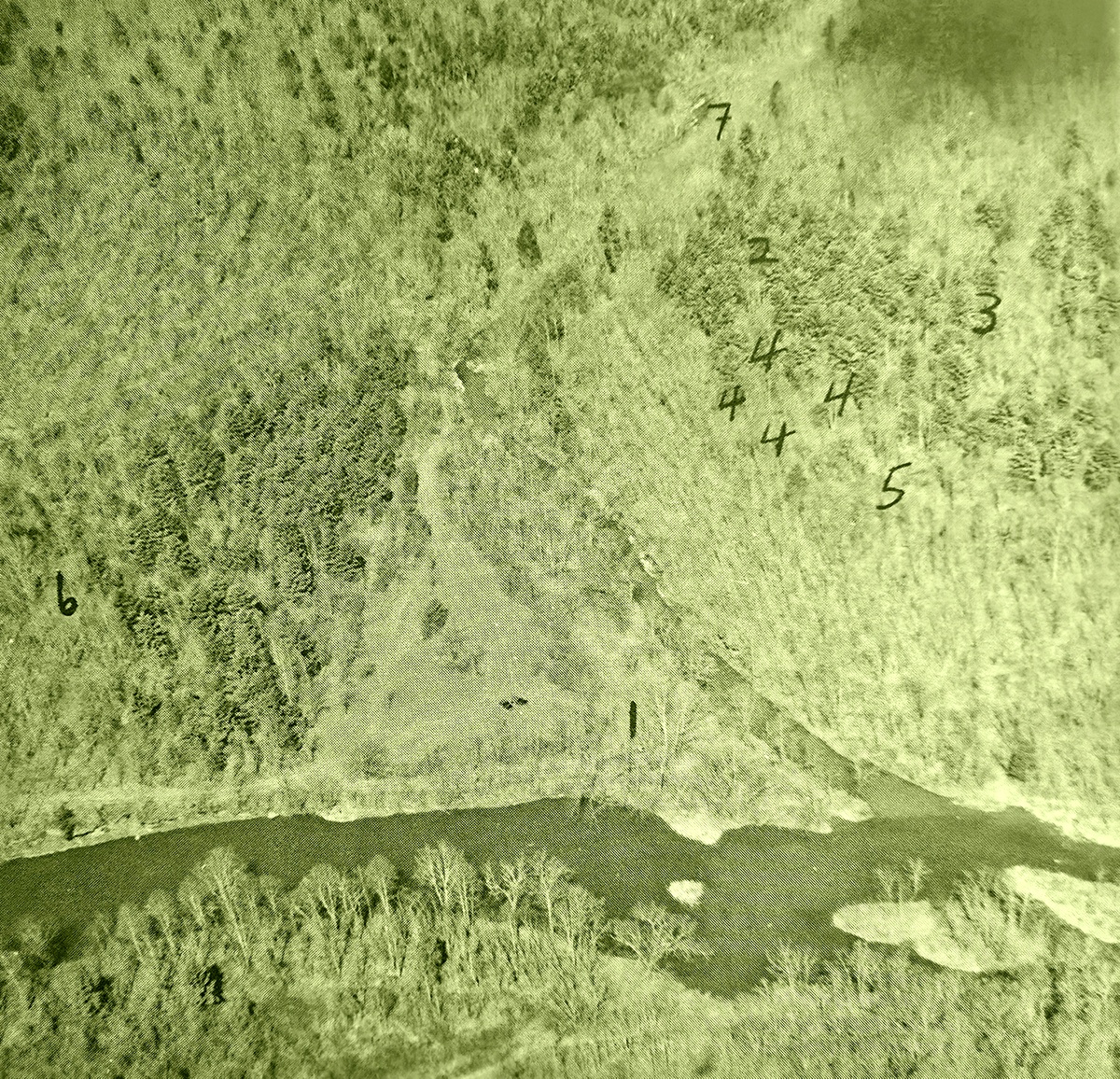 Lilly West Virginia History