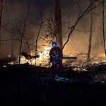 Firefighter in Monongahela National Forest