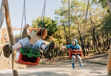 West Virginia state park playgrounds targeted in new fundraising drive Playgrounds: At least 20 of West Virginia’s 48 park areas require major playground replacements or upgrades.