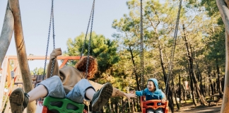 West Virginia state park playgrounds targeted in new fundraising drive Playgrounds: At least 20 of West Virginia’s 48 park areas require major playground replacements or upgrades.