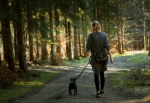 West Virginia launches pet-friendly "West FURginia" state park ranger program Visitors to West Virginia pet-friendly state parks who bring their furry friends will receive a certificate and their pooches a commemorative dog tag.
