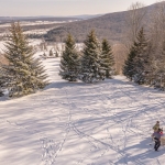 Video Thumbnail: Freeland ~ A White Grass Story