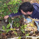 Berry at Layland Cemetery