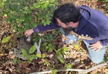 New historical society to help conserve New River Gorge region in West Virginia New River Gorge Historical Society