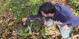 New historical society to help conserve New River Gorge region in West Virginia New River Gorge Historical Society